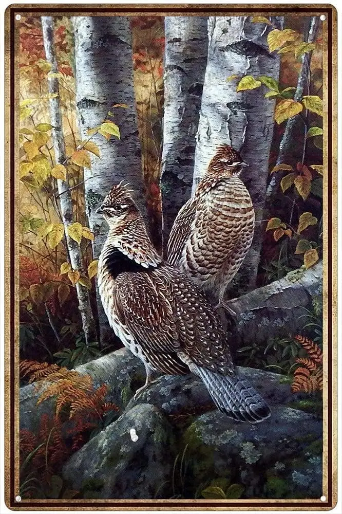 Home Bathroom Signs - Vintage Metal Sign Grouse Ruffed Wildlife
